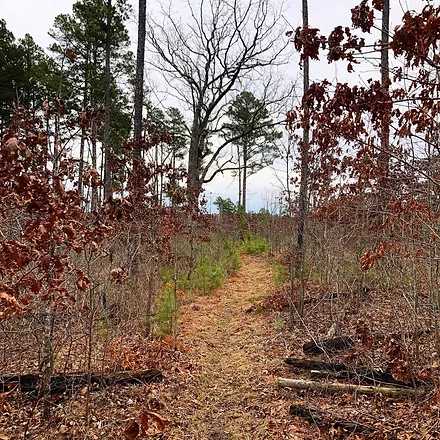 Victory Section of the Ozark Trail.jpg